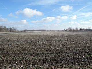 Property photo 8 - LAND AUCTION, 211+/- Acres offered in 3 Tracts